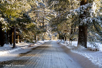 Feb_6_-_Snow_Covered_Road-4963