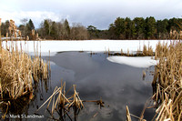 Mar_15_-_Clark_Pond-0052