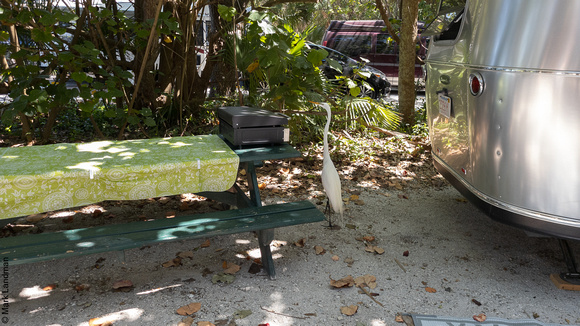 Campsite, Fort De Soto