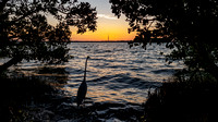 Sunset from Campsite, Fort De Soto