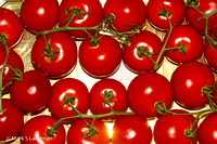May_19_-_Tomatoes-2365