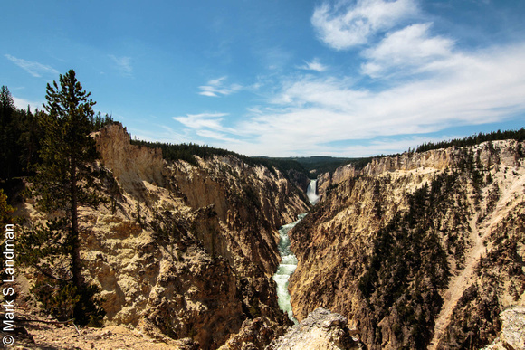 Yellowstone_20180722-_Y6A9537