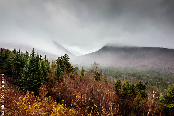 2018 Fall Hike 20181103-_Y6A2141