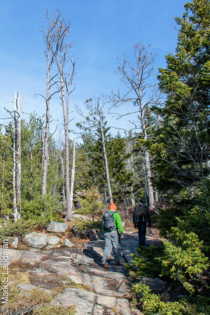 2018 Fall Hike 20181104-_Y6A2225