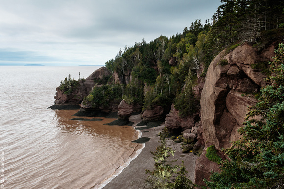 Hopewell Rocks_Y6A5931-