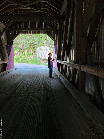 Point Wolfe Covered Bridge_191623-