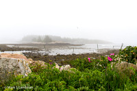 Jul_3_-_Little_Moose_Island-5197