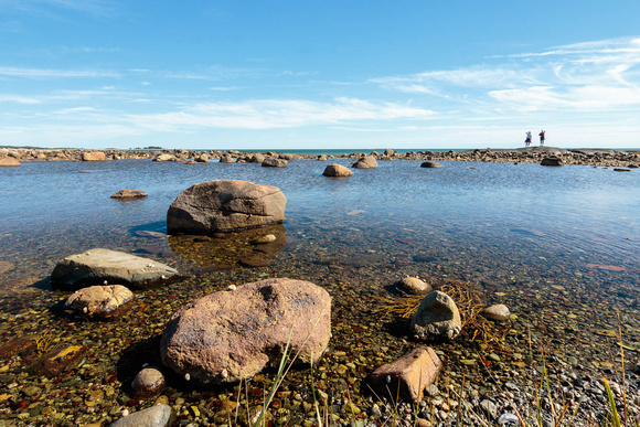 Schoodic Savi Dewar (5 of 8)