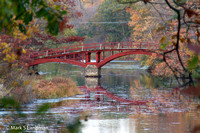 Oct_17_-_Bridge-9578