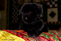 Nov 19 - Stuffed Dog-0275