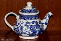 Oct 20 - Teapot-9583