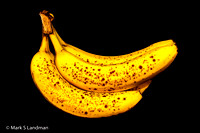 Jan_16_-_Bananas-4257