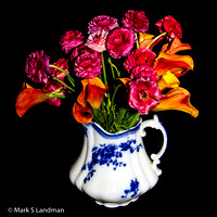 Mar_17_-_Flowers_in_Pitcher-0085